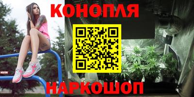эйфоретик Шелехов