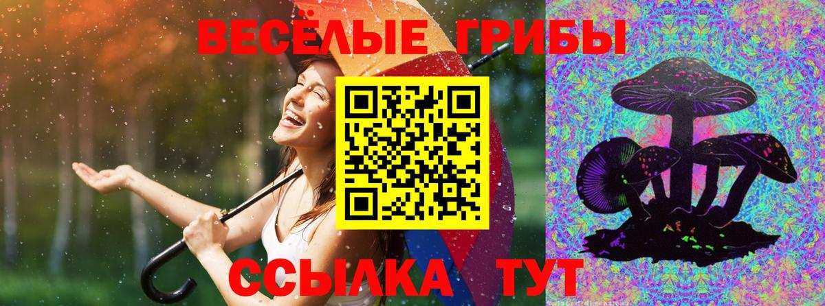 Надым  Галлюциногенные грибы Psilocybine cubensis  Вход с VPN 