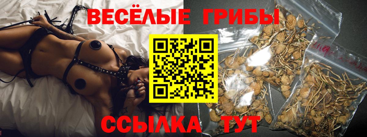 Псилоцибиновые грибы Psilocybine cubensis Надым